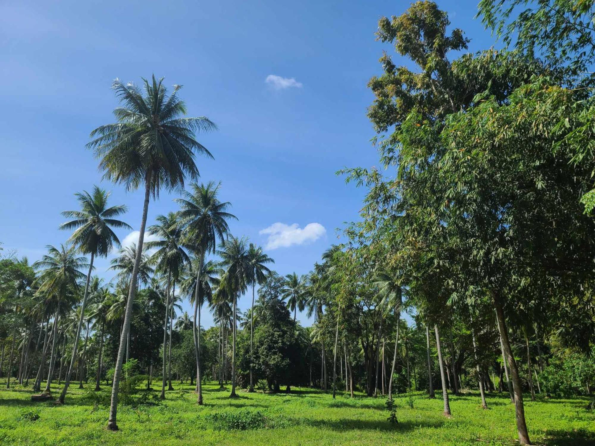 The Secret Garden Homestay Koh Yao Yai Ko Yao Exterior foto