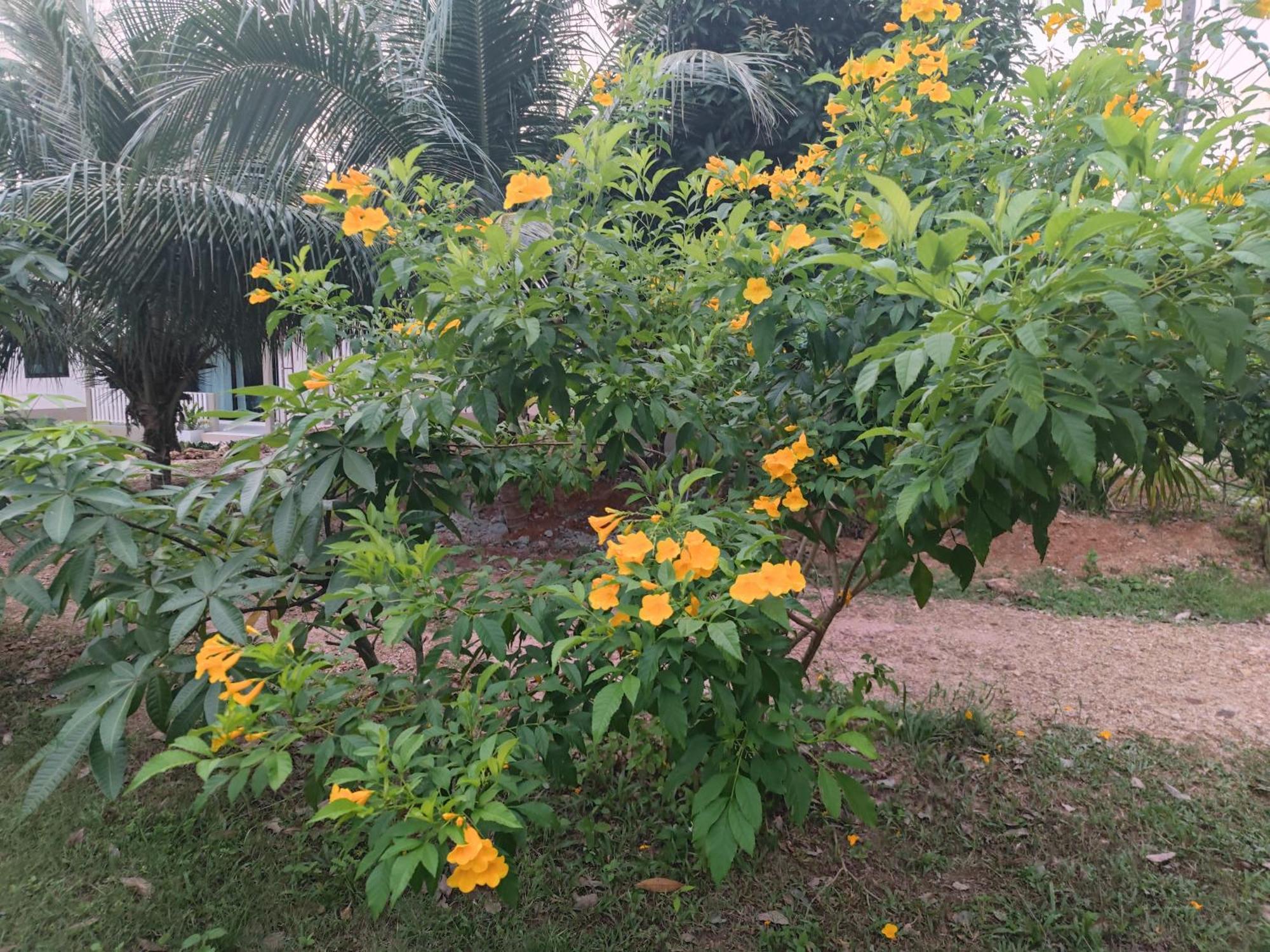The Secret Garden Homestay Koh Yao Yai Ko Yao Exterior foto
