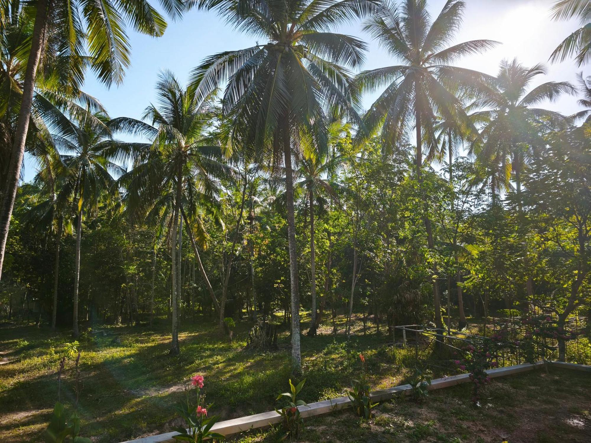 The Secret Garden Homestay Koh Yao Yai Ko Yao Exterior foto