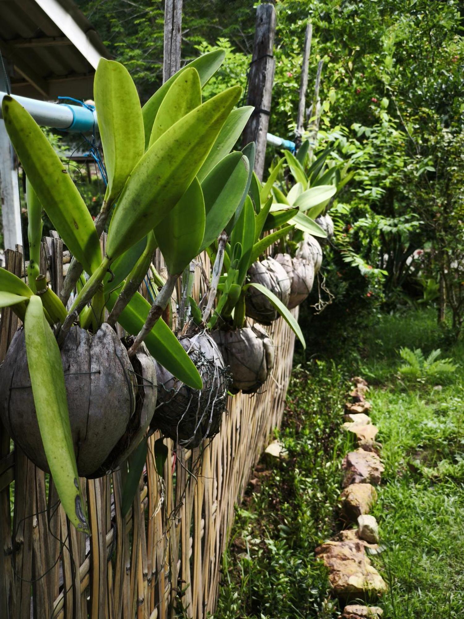 The Secret Garden Homestay Koh Yao Yai Ko Yao Exterior foto